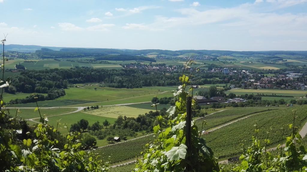 Wein- Appartements Borth ブレッツフェルト エクステリア 写真